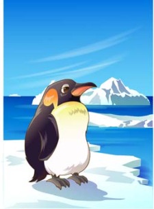 free vector Penguin 7