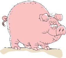 free vector Pig 33