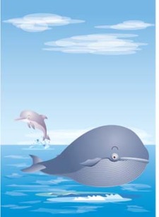 free vector Cute whale 2