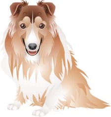 free vector Dog vector collections 1