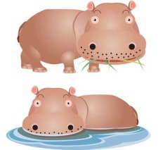 free vector Hippopotamus vector 4