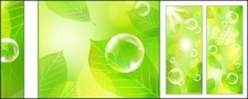 free vector Vector fresh green background material