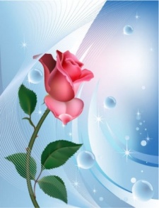 free vector Rose on blue background with water bubbles