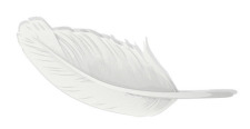 free vector Feather free vector