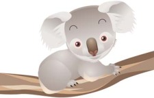free vector Koala 2