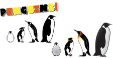 free vector Penguins free vector