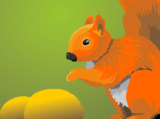 free vector Squirrel with nuts
