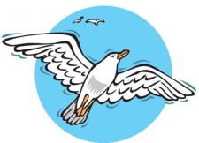 free vector Seagull vector 8
