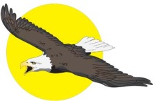 free vector Eagle vector 9