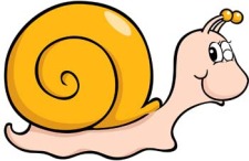 free vector Snail 9