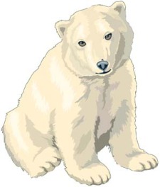 free vector Polar bear 3