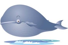 free vector Cute whale 1