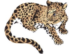 free vector Leopard 1
