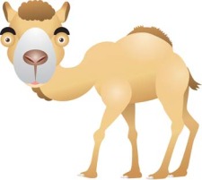 free vector Camel Vector 11