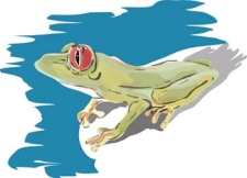 free vector Frog 1