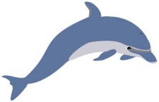 free vector Dolphin Vector 1