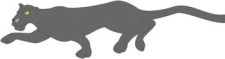free vector Panther 5