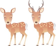 free vector Deer 5
