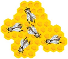 free vector Bee and Hexagon Honey
