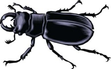 free vector Bugs 2