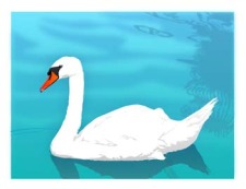 free vector Swan 1