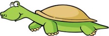 free vector Turtle 10