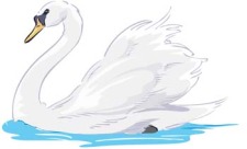 free vector Swan 4