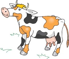 free vector Cow 10