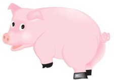 free vector Pig 42