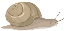 free vector Snail 1