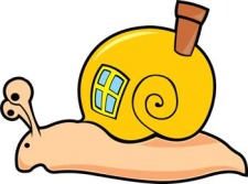 free vector Snail 6