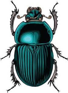free vector Bugs 1
