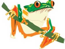 free vector Frog 9