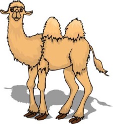free vector Camel Vector 4