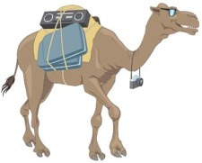 free vector Camel Vector 8