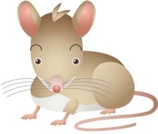 free vector Mouse Vector 24
