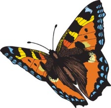 free vector Butterfly Vector 4