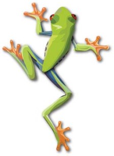 free vector Frog 10