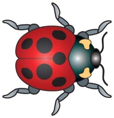free vector Red Bugs 2