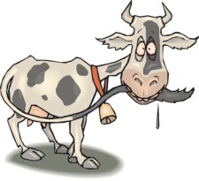 free vector Cow 13