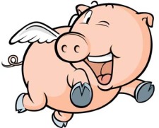 free vector Pig 17