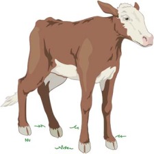 free vector Cow 5