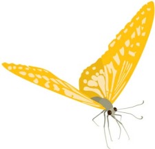 free vector Butterfly Vector 25
