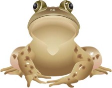 free vector Frog 12