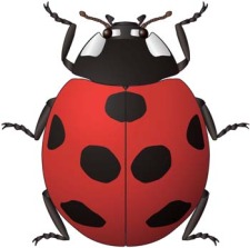free vector Red Bugs 6