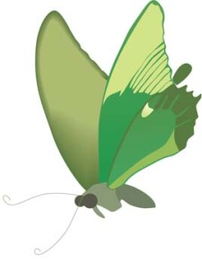 free vector Butterfly Vector 23