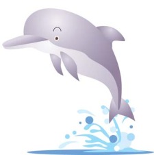 free vector Dolphin Vector 7