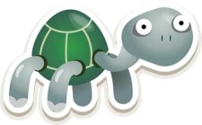 free vector Turtle 8