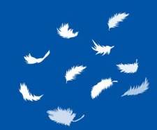 free vector Feather 1