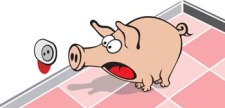 free vector Pig 47